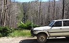 11-The fire has opened up the views of Keppel Falls from the road